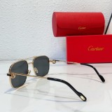 cartier CT0333S replica glasses