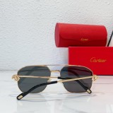 cartier CT0333S replica glasses