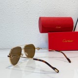 non polarized sunglasses cartier CT0334S