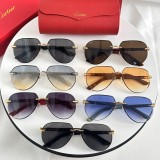cartier CT0440S glasses rep