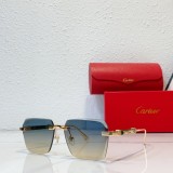 cartier T0632 polarized sunglasses