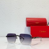 cartier T0632 polarized sunglasses