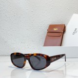 sunglasses polarized celine CL40279U