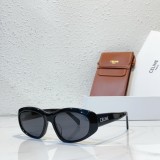 sunglasses polarized celine CL40279U