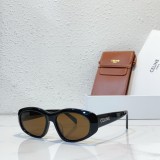 sunglasses polarized celine CL40279U