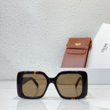 outdoor sunglasses for Mountaineering and Hikingceline CL40291