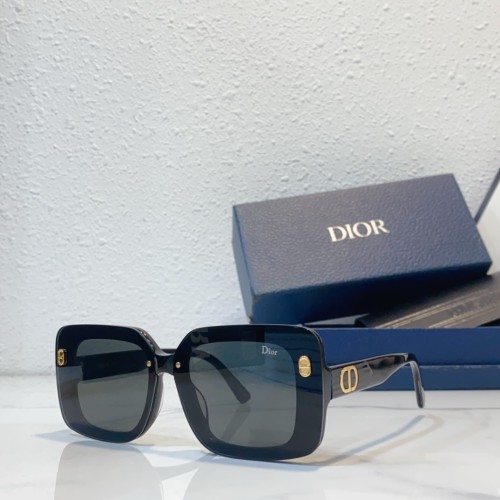 fashion sunglasses brands dior DSGTA17UCR