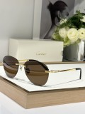 cartier CT0254O polarized sunglasses