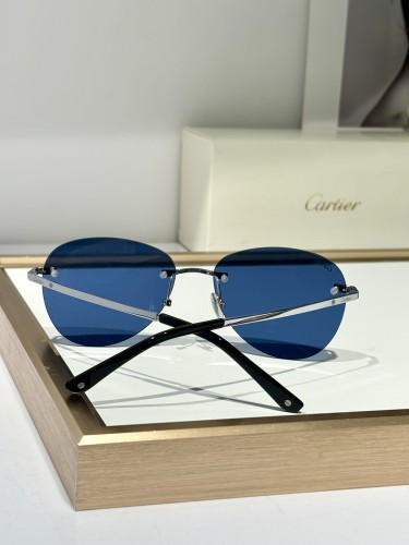 cartier CT0254O polarized sunglasses