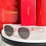 Sunglasses for Hiking cartier CT0438SA