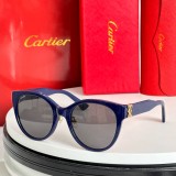 Sunglasses for Hiking cartier CT0438SA