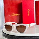 cartier CT0437S sunglasses polarized