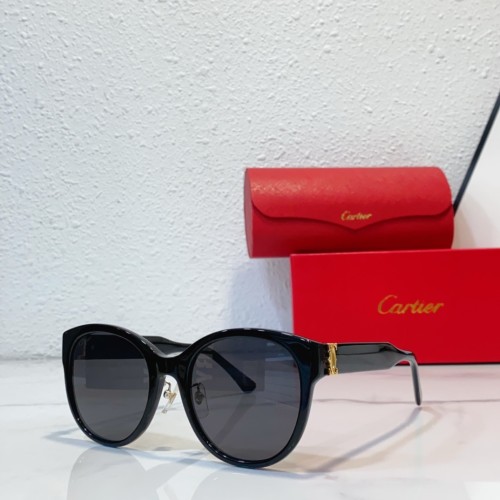 10 Best Hiking Sunglasses of 2024 cartier CT0438S