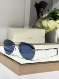 cartier CT0254O polarized sunglasses