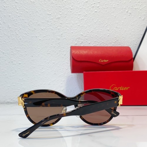 10 Best Hiking Sunglasses of 2024 cartier CT0438S