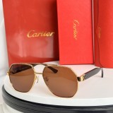 Shop Polarized Hiking Sunglasses dupe cartier CT9664S