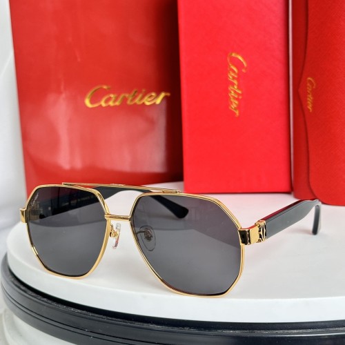 Shop Polarized Hiking Sunglasses dupe cartier CT9664S