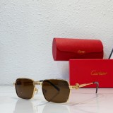 replica cartier CT0463S best prices for sunglasses