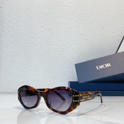 copy sunglasses near me dior B1U