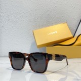 Loewe W50069l sunglasses replica