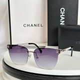 Copy Chan CH8188 affordable Sunglasses
