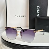 Copy Chan CH8188 affordable Sunglasses