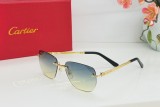 The Best Polarized Sunglasses to Buy Online copy cartier CT0569S