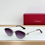 Best Prescription Sunglasses for 2025 replica cartier CT1177S