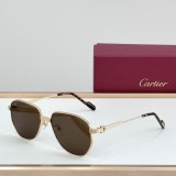 replica cartier CT0484O Sunglasses Polarized