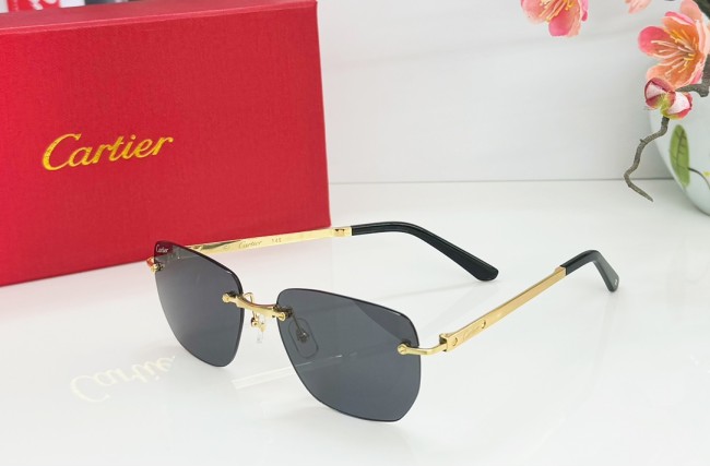 The Best Polarized Sunglasses to Buy Online copy cartier CT0569S