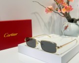 Fish with sunglasses dupe cartier CT0473
