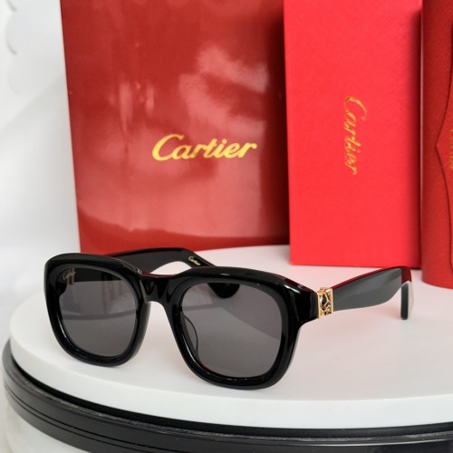 Copy Mens sunglasses cartier CT0317