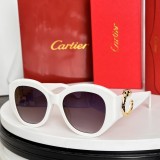 Copy Designer sunglasses cartier CT0502S