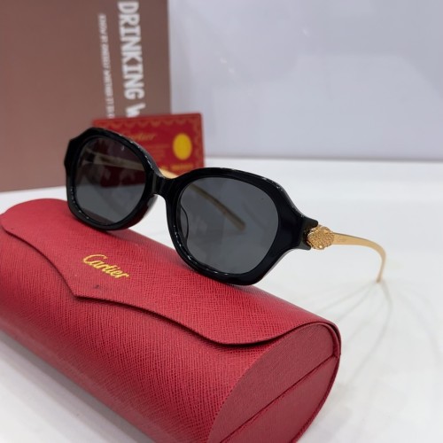 Copy  Mens Sunglasses Polarized cartier CT0645S
