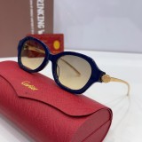 Copy  Mens Sunglasses Polarized cartier CT0645S