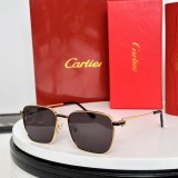 Copy Sunglasses for women cartier CT0497S
