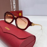 Copy  Mens Sunglasses Polarized cartier CT0645S