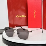 Copy Sunglasses for women cartier CT0497S