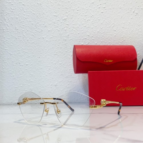 dupe cartier CT0429S Men glasses frames