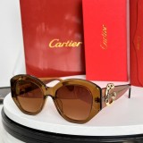 Copy Designer sunglasses cartier CT0502S