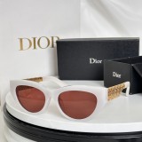 Copy Mens sunglasses dior DioRésille