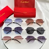 Copy fashion sunglasses 2025 cartier CT0455S
