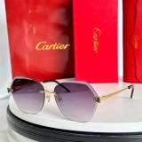 Copy fashion sunglasses 2025 cartier CT0455S