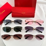 dupe cartier CT0431S Best Cheap Sunglasses