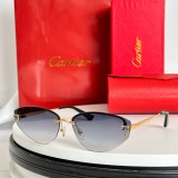 dupe cartier CT0431S Best Cheap Sunglasses