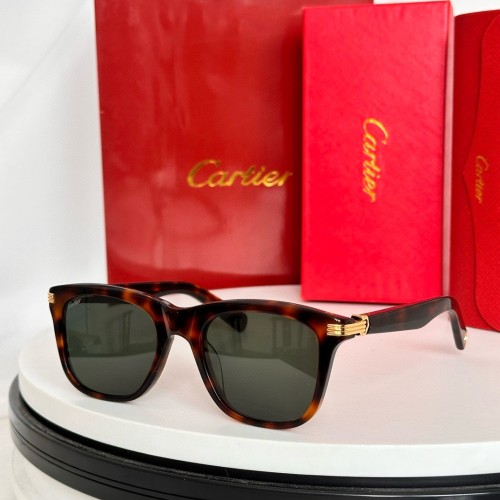 Copy cartier CT0396S Affordable Sunglasses Brands
