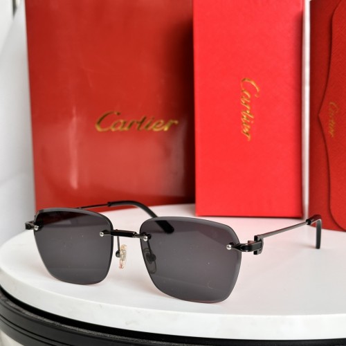 dupe cartier CT0343 Sunglasses Brands A-Z