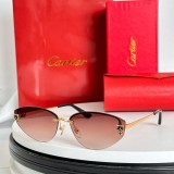 dupe cartier CT0431S Best Cheap Sunglasses