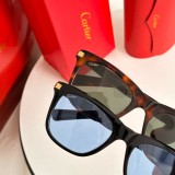 Copy cartier CT0396S Affordable Sunglasses Brands