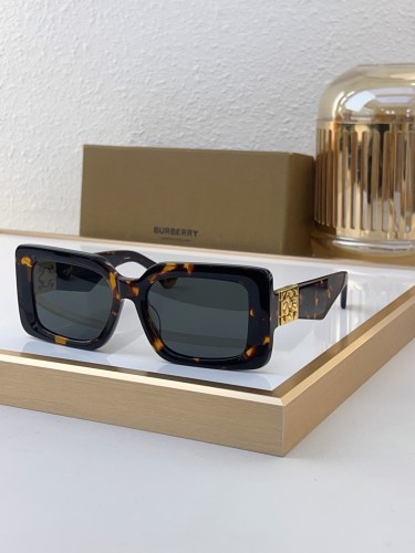 Top Sunglasses Brands For Men Copy burberry BE6002U